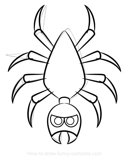 Spider drawing (Sketching + vector)