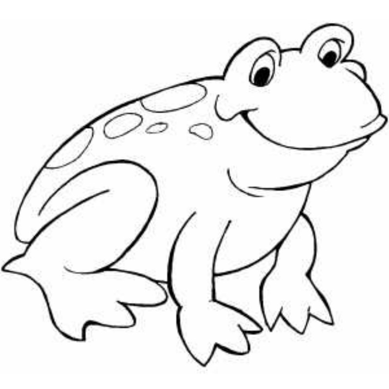 Beautiful Coloring Pages of Frogs Free for All frog coloring pages ...