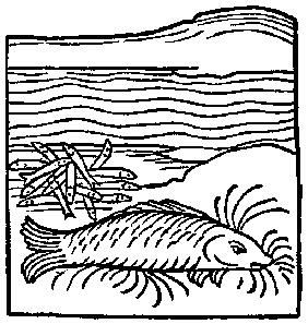 Medieval Woodcuts Clipart Collection