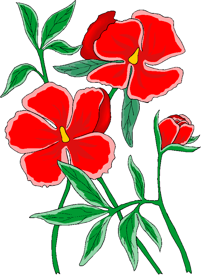 Free Clipart Flower Clipart Food Clipart Animal