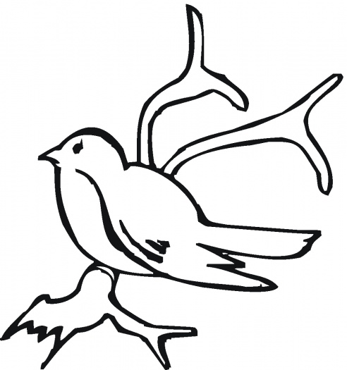 coloring pages of tree branches - Seivo ...