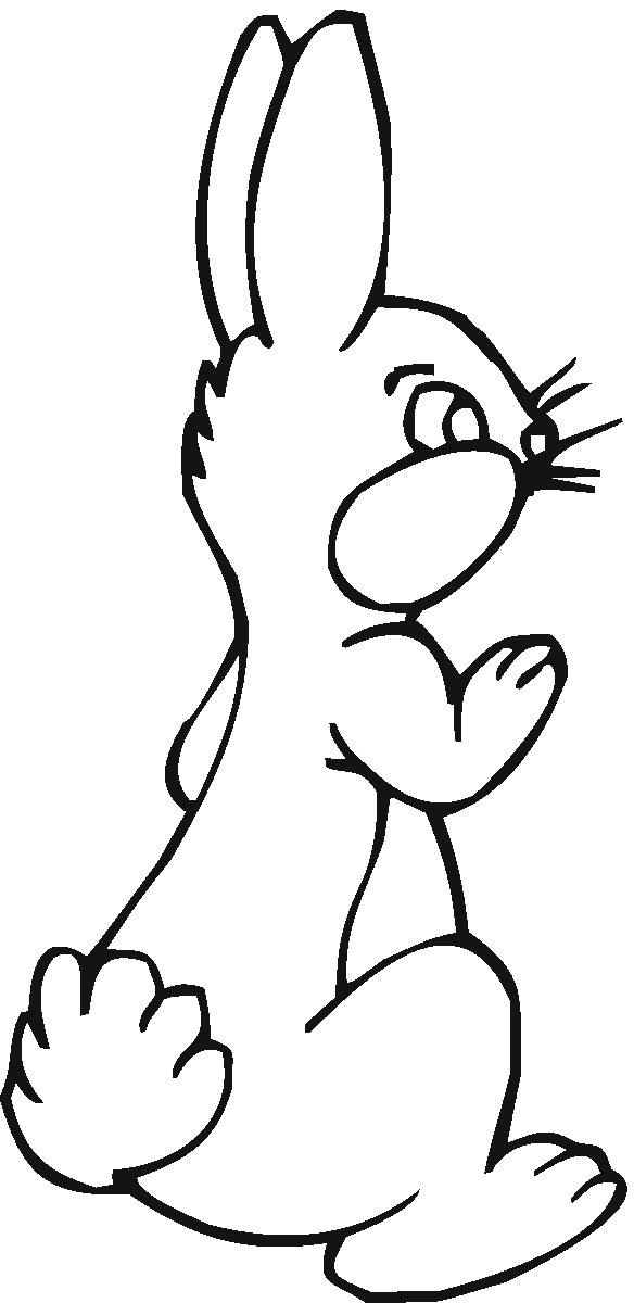 Easter Bunny Coloring Pages | North Texas Kids