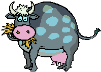 Funny animated cows and moving bulls