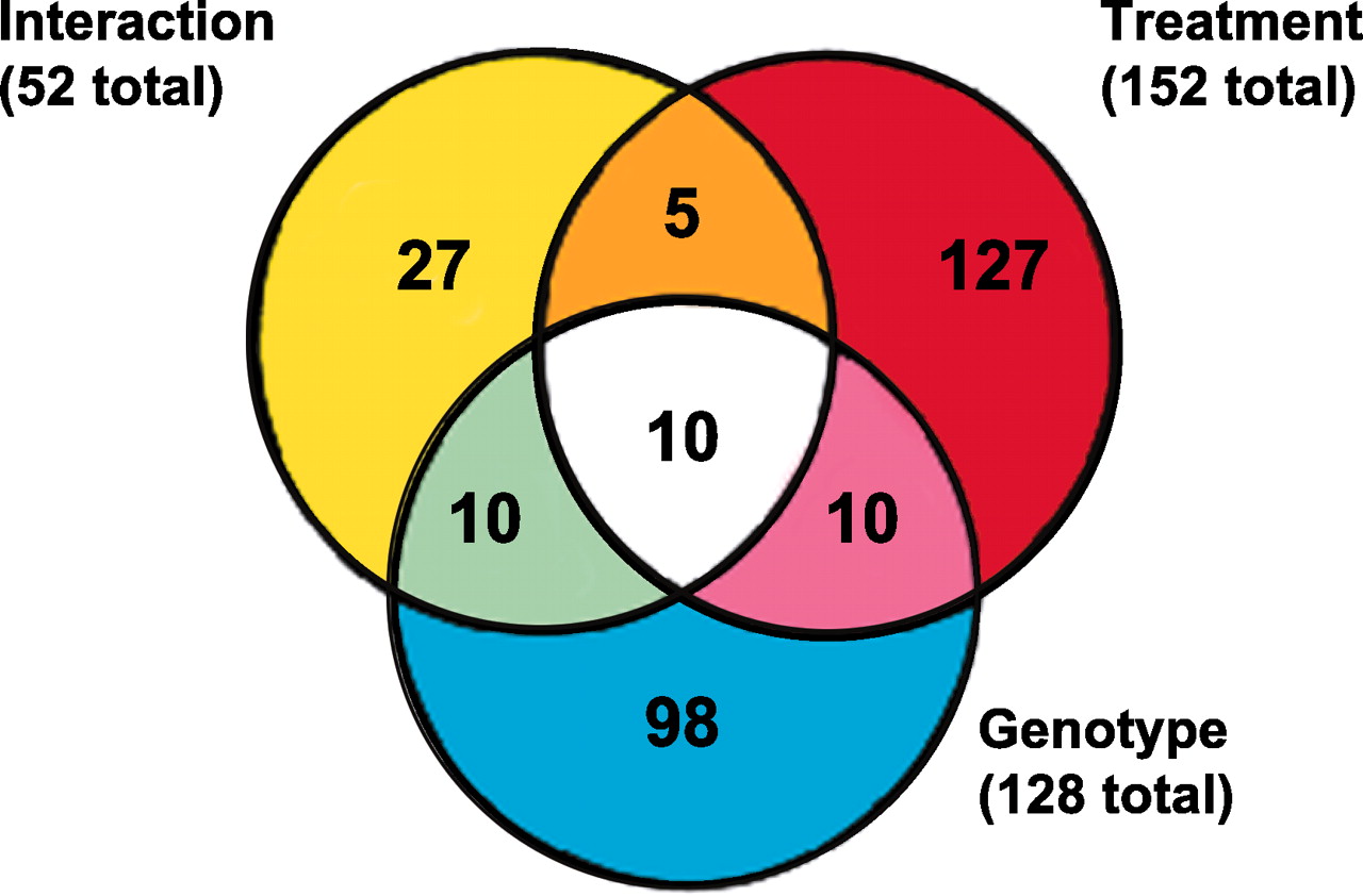 Caspase 1 deficiency reduces inflammation-induced brain transcription