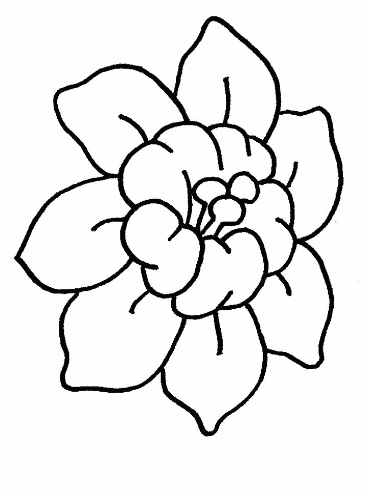 Printable Hawaiian Coloring Pages - AZ Coloring Pages