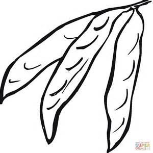 Green beans clipart coloring