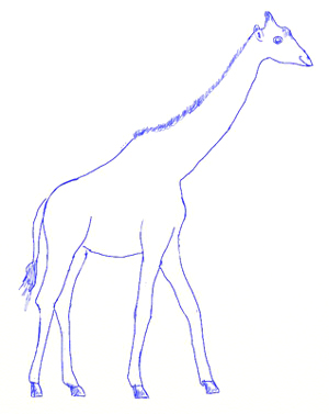 How to Draw a Giraffe - Draw Step by Step