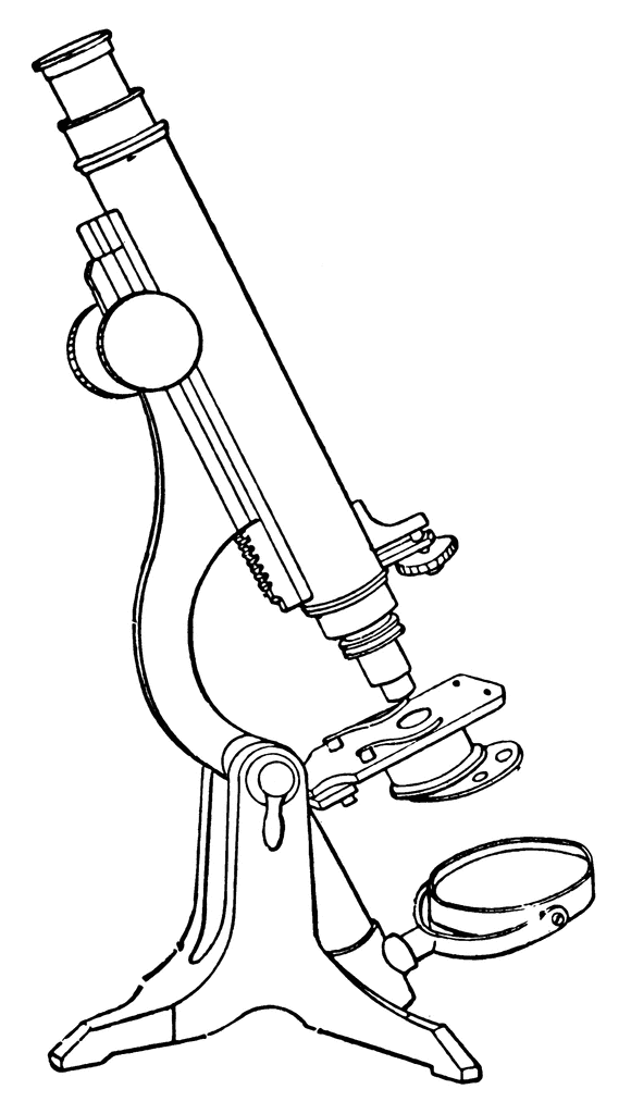 Microscope