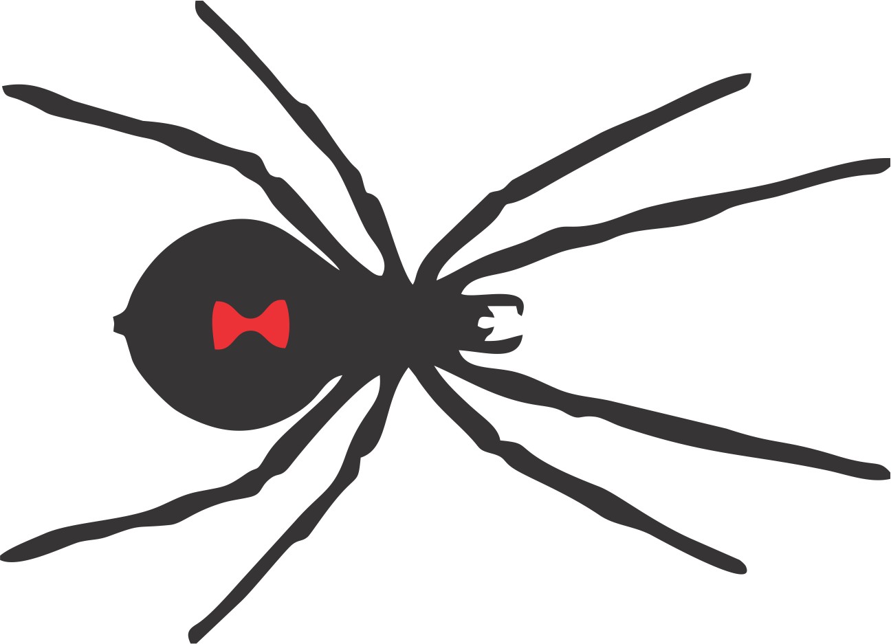 Pre-fused, Laser-cut Silhouettes: Black Widow Spider