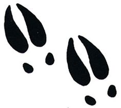 Moose Tattoo | Black Bear Tattoo, Alaska Tattoo and This…