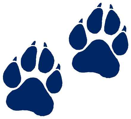 Wildcat Paw