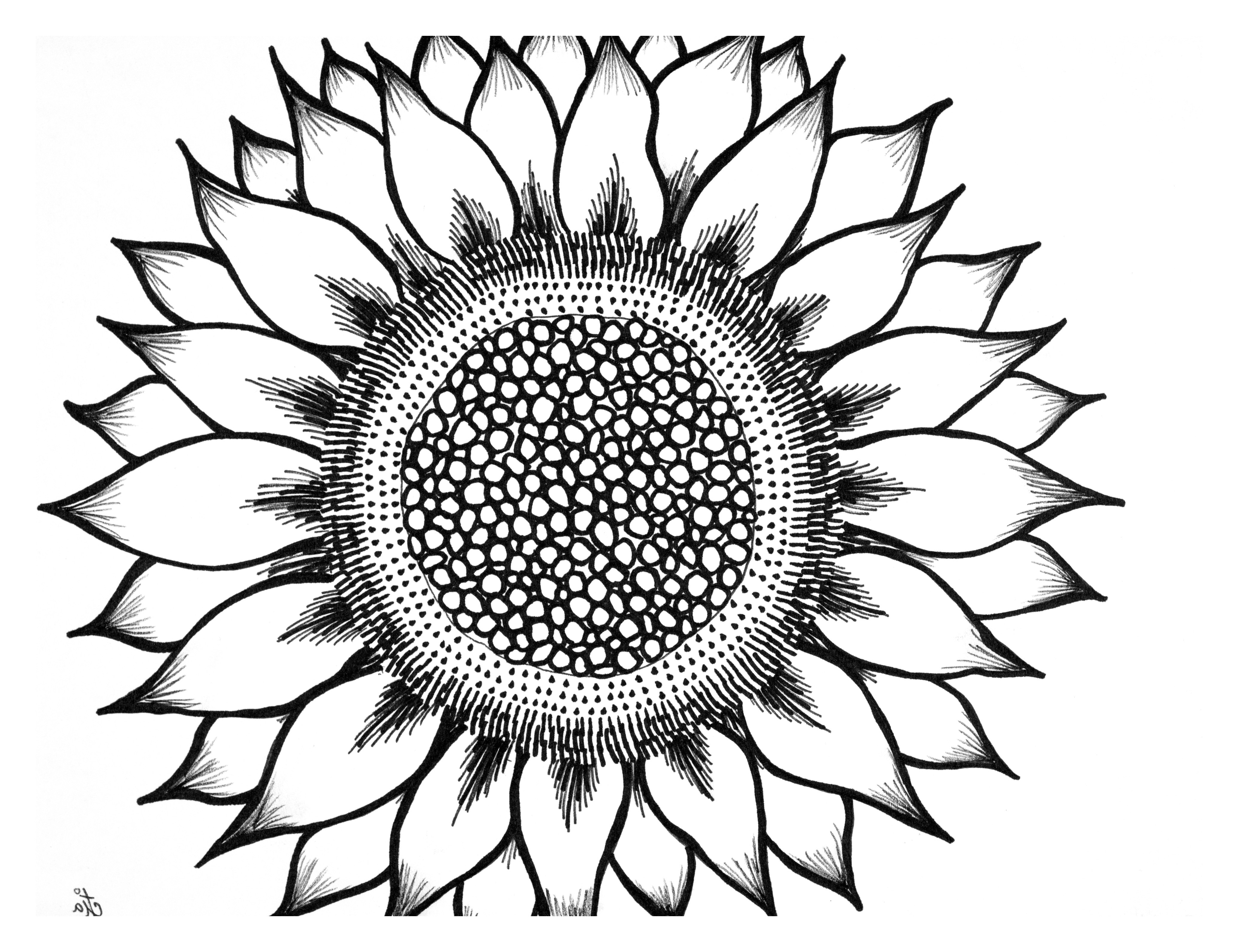 Tumblr Clipart | Free Download Clip Art | Free Clip Art | on ...