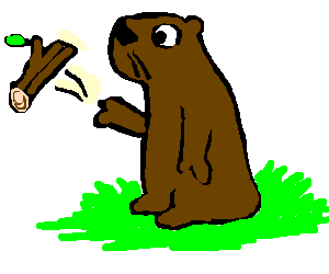 a woodchuck chucking wood