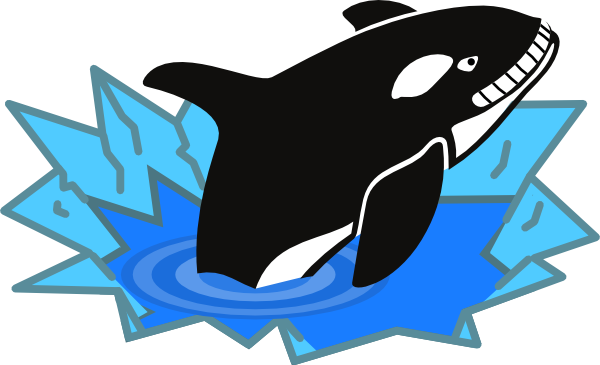 Killer Whale Clipart