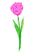 flowers blooms Animations