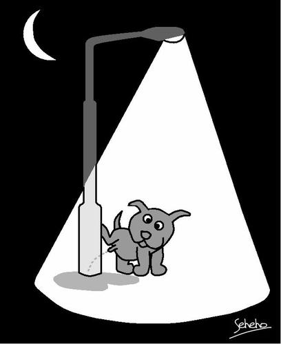 a guiding light By Thamalakane | Nature Cartoon | TOONPOOL