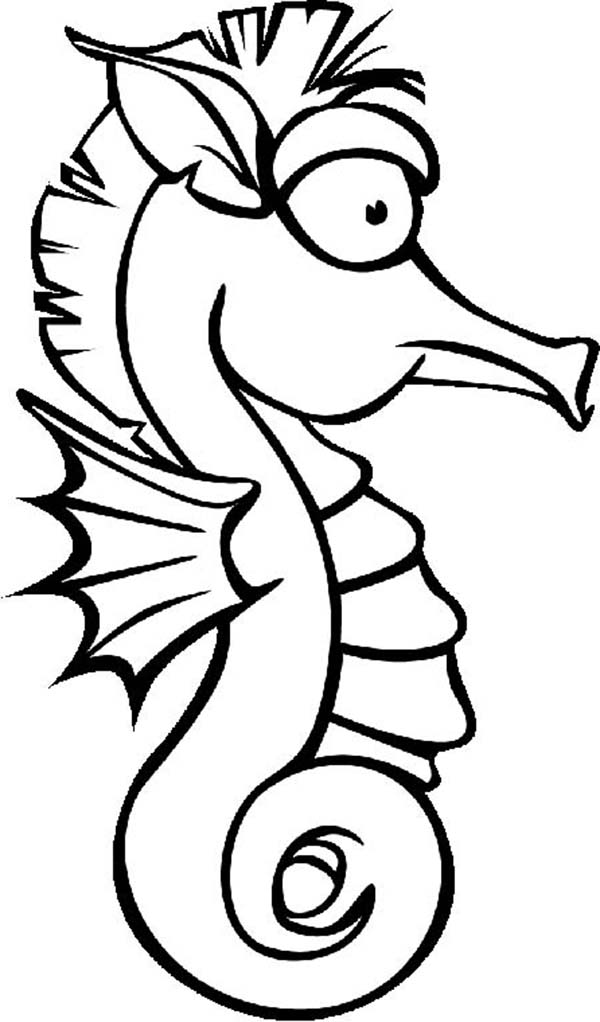 Seahorse as a Cartoon Character Coloring Page | Kids Play Color
