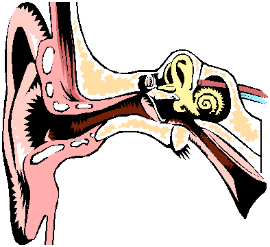 Ear Infections