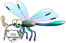 Dragonfly_Cartoon_Contact.jpg