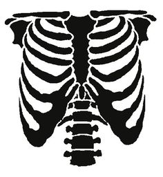 How To Draw A Cartoon Rib Cage - ClipArt Best
