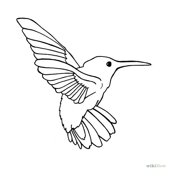 Flying Owl Line Drawing - Free Clipart Images