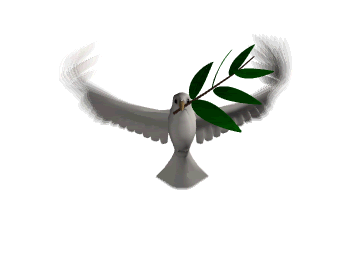Animated Birds Pictures, Images & Photos | Photobucket