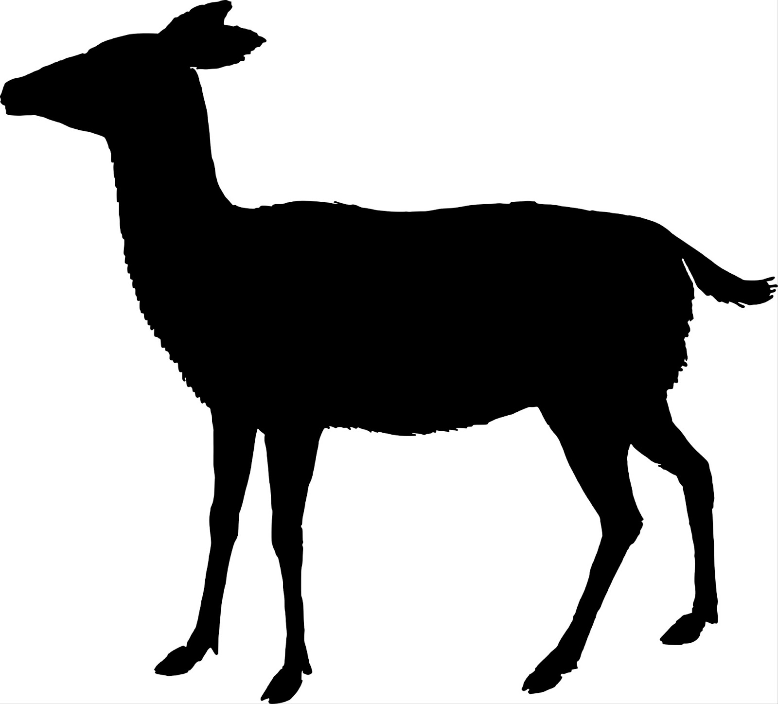 Buck And Doe Clipart
