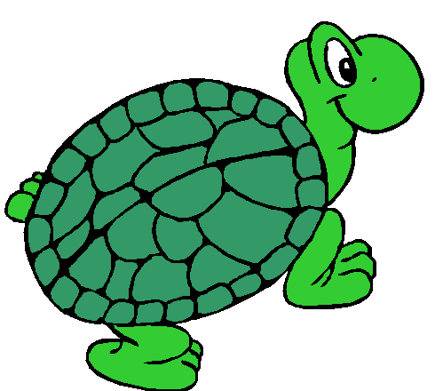 Turtle clipart gif