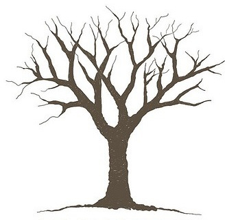 1000+ images about Tree template | Trees ...