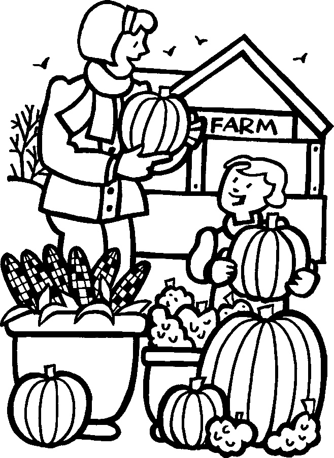 1000+ images about Harvest Party | Maze, Pumpkins and ...