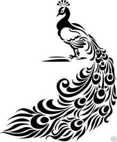 Simple Peacock Feather Design - Free Clipart Images