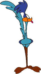 Road Runner Clipart