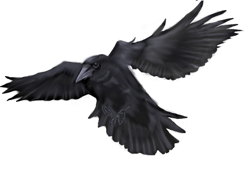 Flying Crow Tattoo Drawing: Real Photo, Pictures, Images and ...