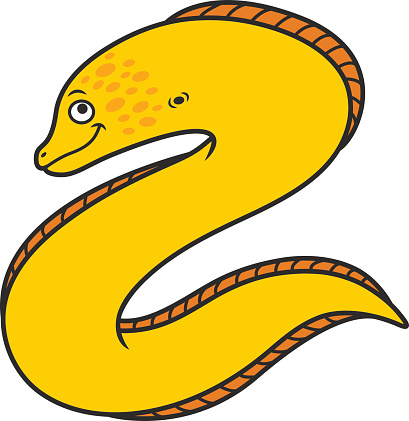 Saltwater Eel Clip Art, Vector Images & Illustrations
