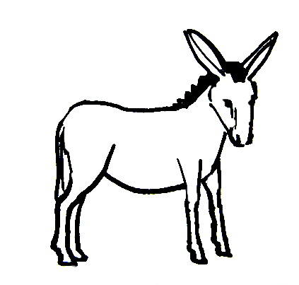 Donkey coloring pages
