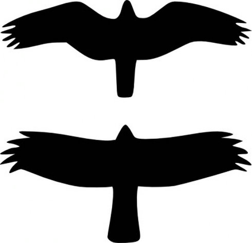 Raptors Clip Art | Free Vector Download - Graphics,