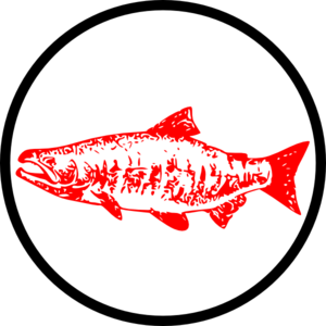 Salmon clip art - vector clip art online, royalty free & public domain