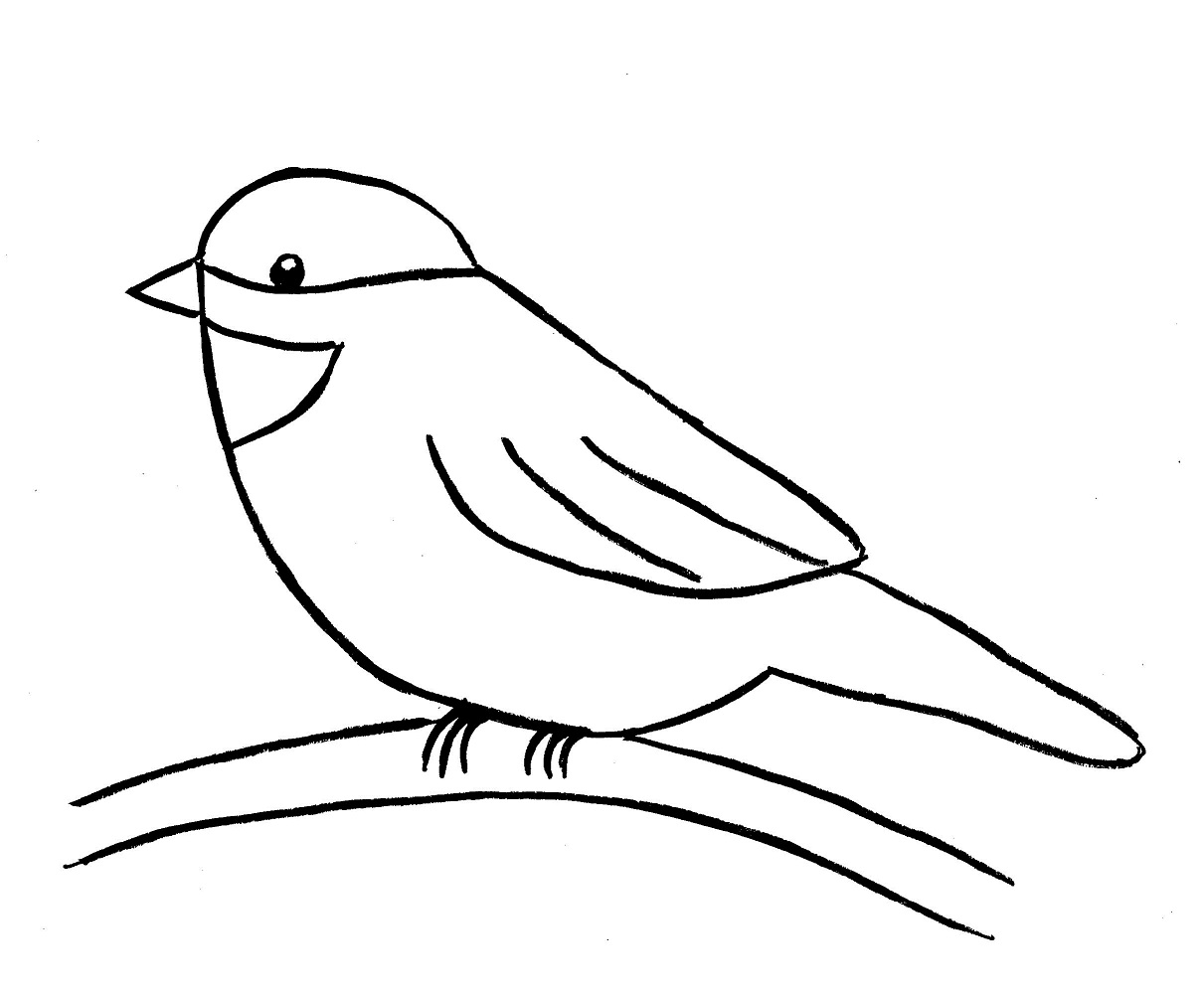 Create a Chickadee Drawing Step by Step