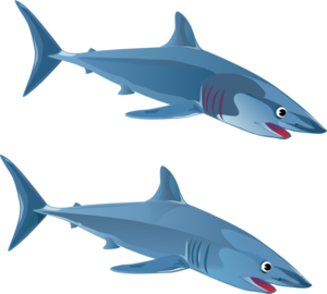 Blue Shark clip art - vector clip art online, royalty free ...