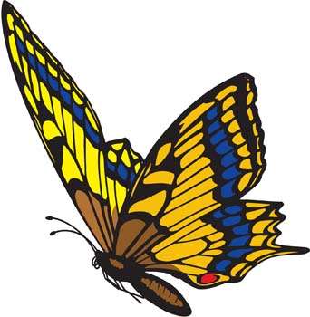 Butterfly pattern 2 vector Free Vector