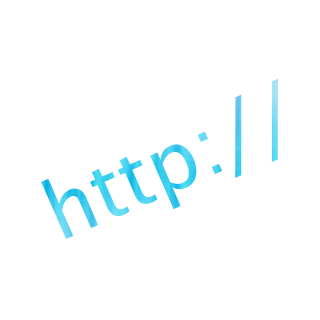 world wide web