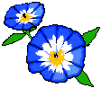7.gif