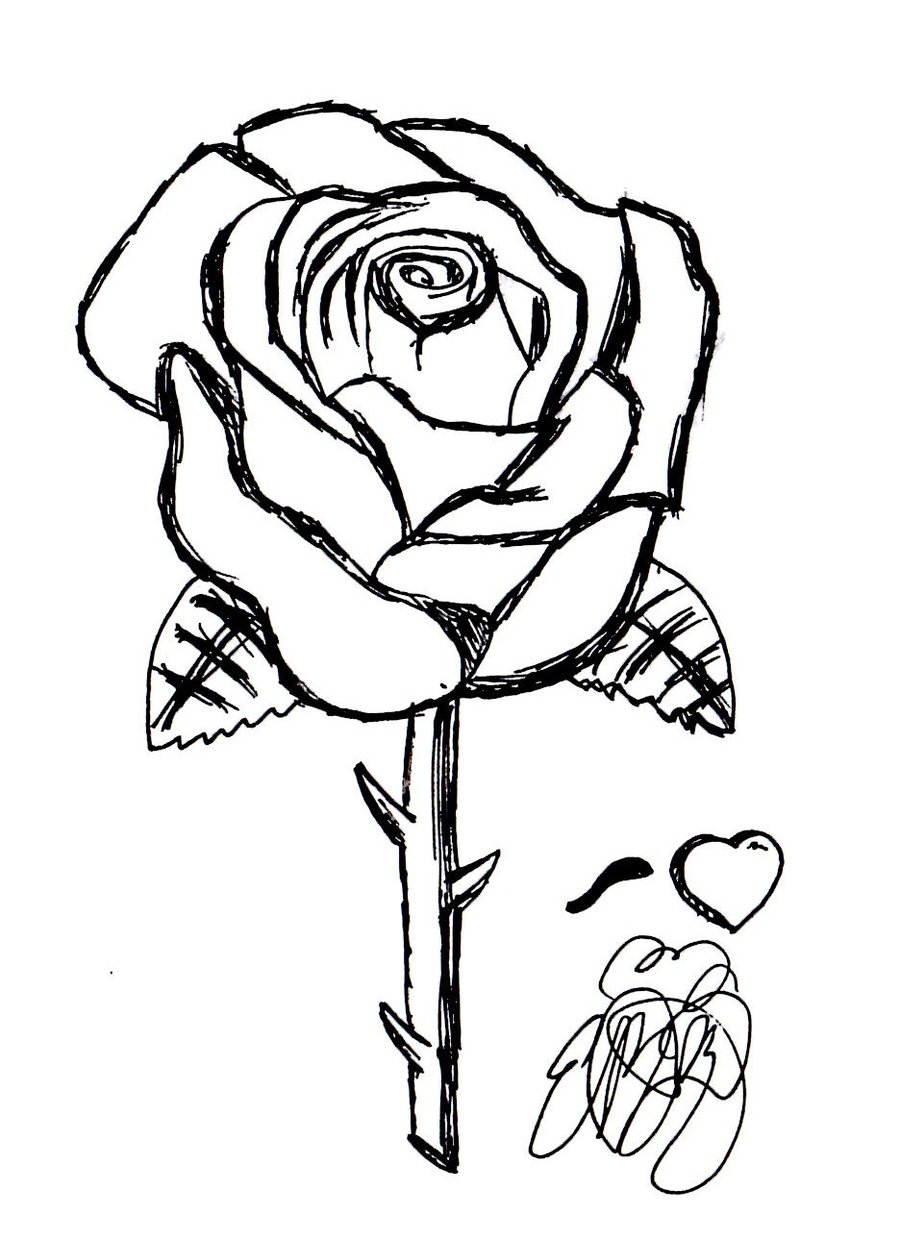 rose sketch by Sonamyluver