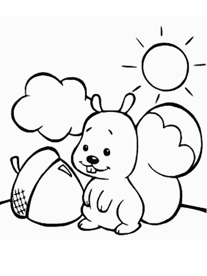 Squirrels Coloring Pages
