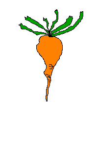 Animated Food _ Vegetables. Free Animations