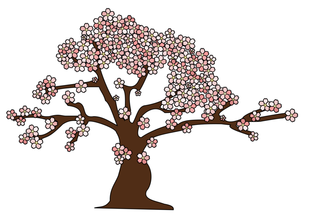 Cherry Tree Vector - Sakura