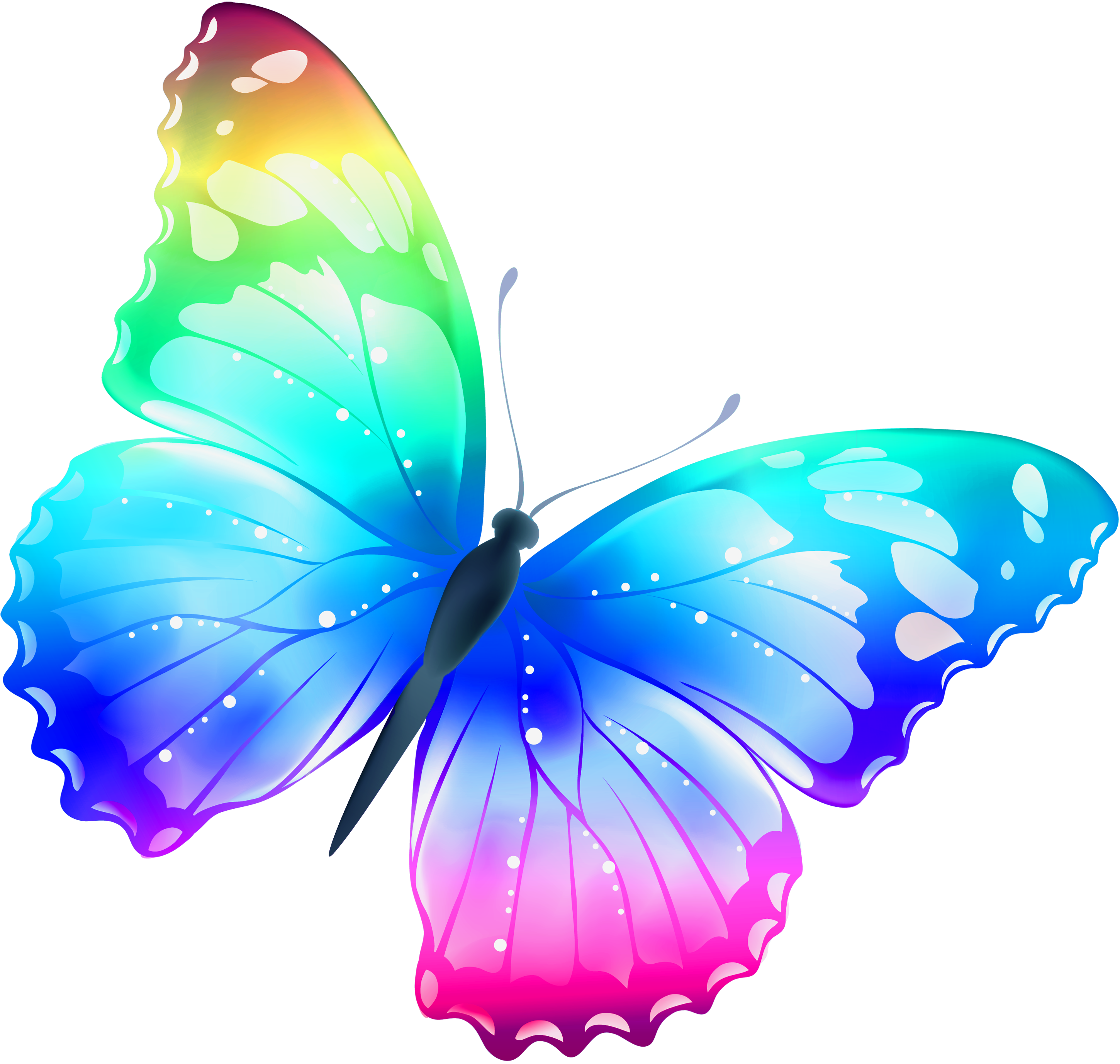 Butterfly Images Collection (40+)