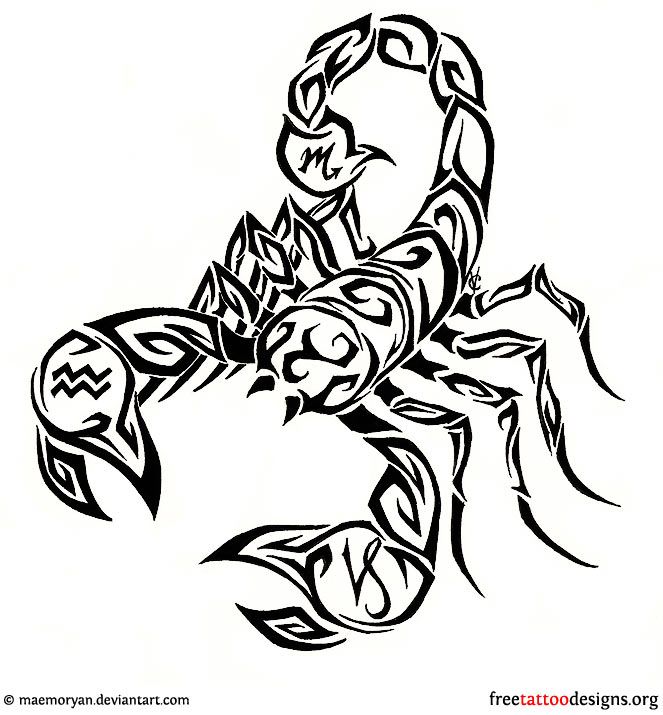 Tribal Scorpion Tattoo