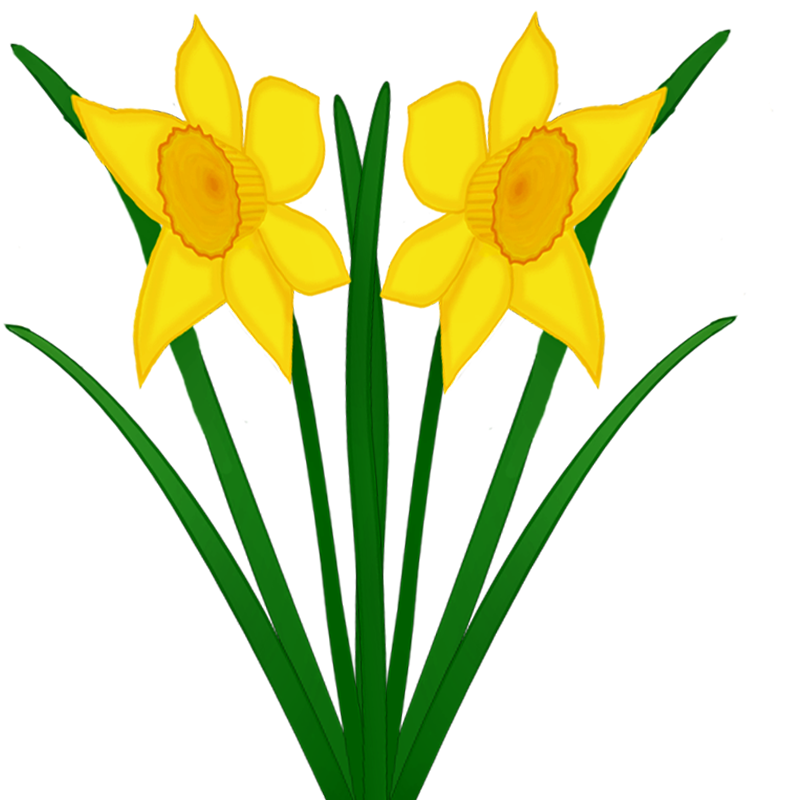 Blumen Â« Meine Internetseite