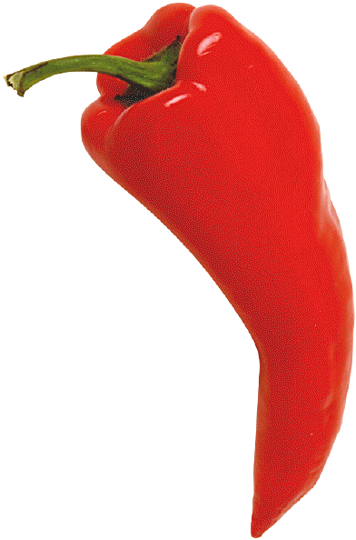 Shop | Chile Pepper Institute | New Mexico State University